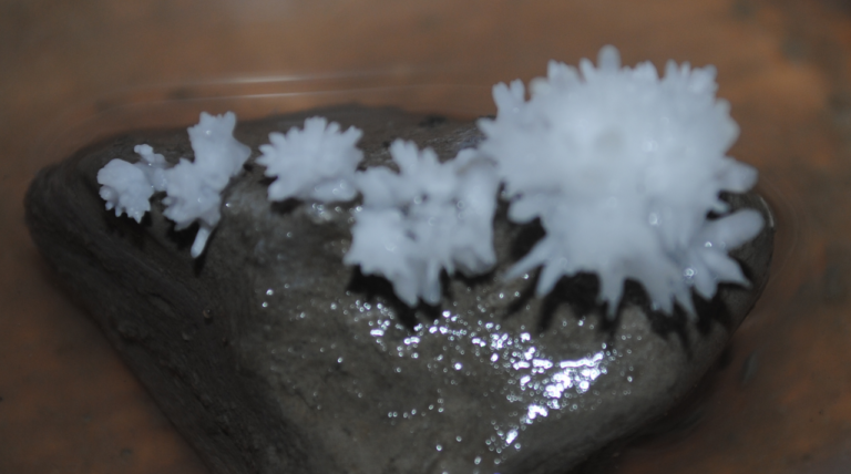 Representative photograph of Calcium acetate sample (CAS 62-54-4)